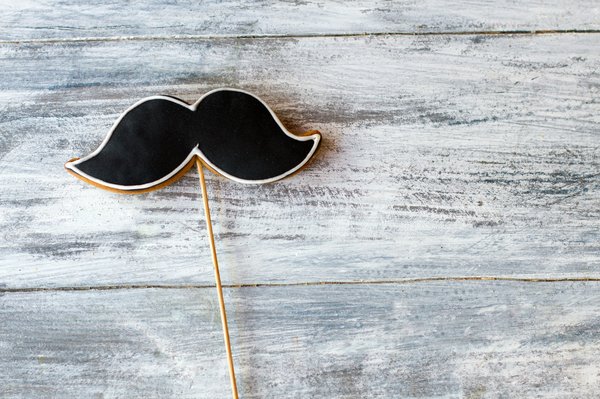 Quelle est l'utilité des moustaches chez les félins et quelles informations recueillent-elles?